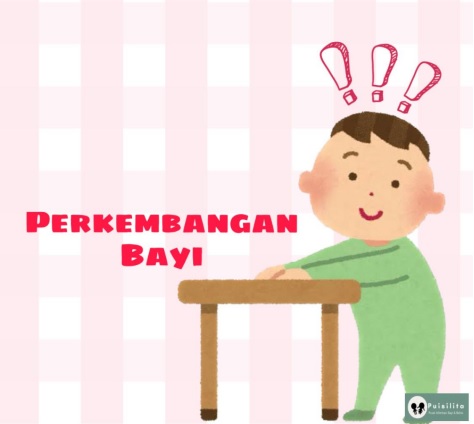 Pengertian perkembangan bayi